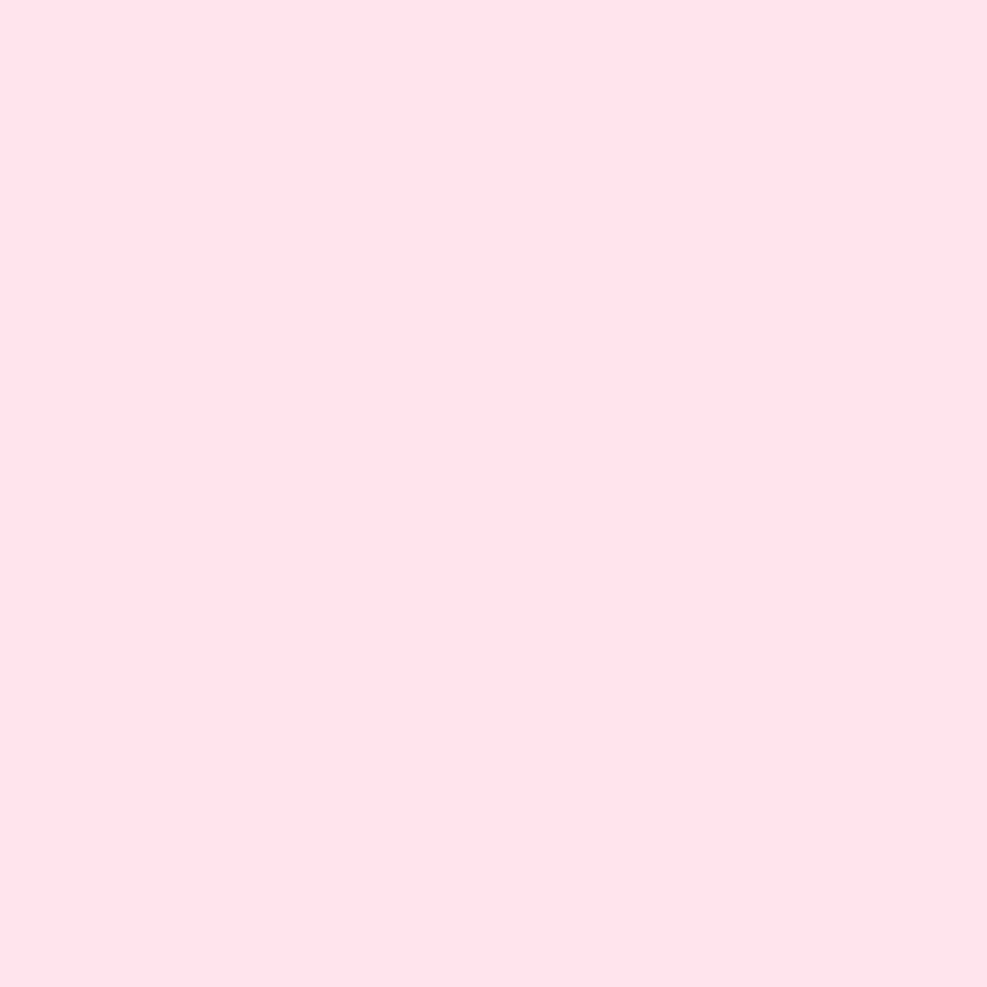 Petal Pink backdrop